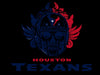 Texas, decal libbey size, ready to apply UV dtf wrap